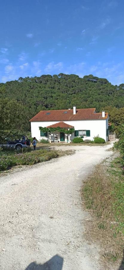 Al- Quinta Dos Carvalhais 里奥马约尔 外观 照片