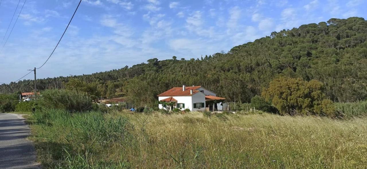 Al- Quinta Dos Carvalhais 里奥马约尔 外观 照片