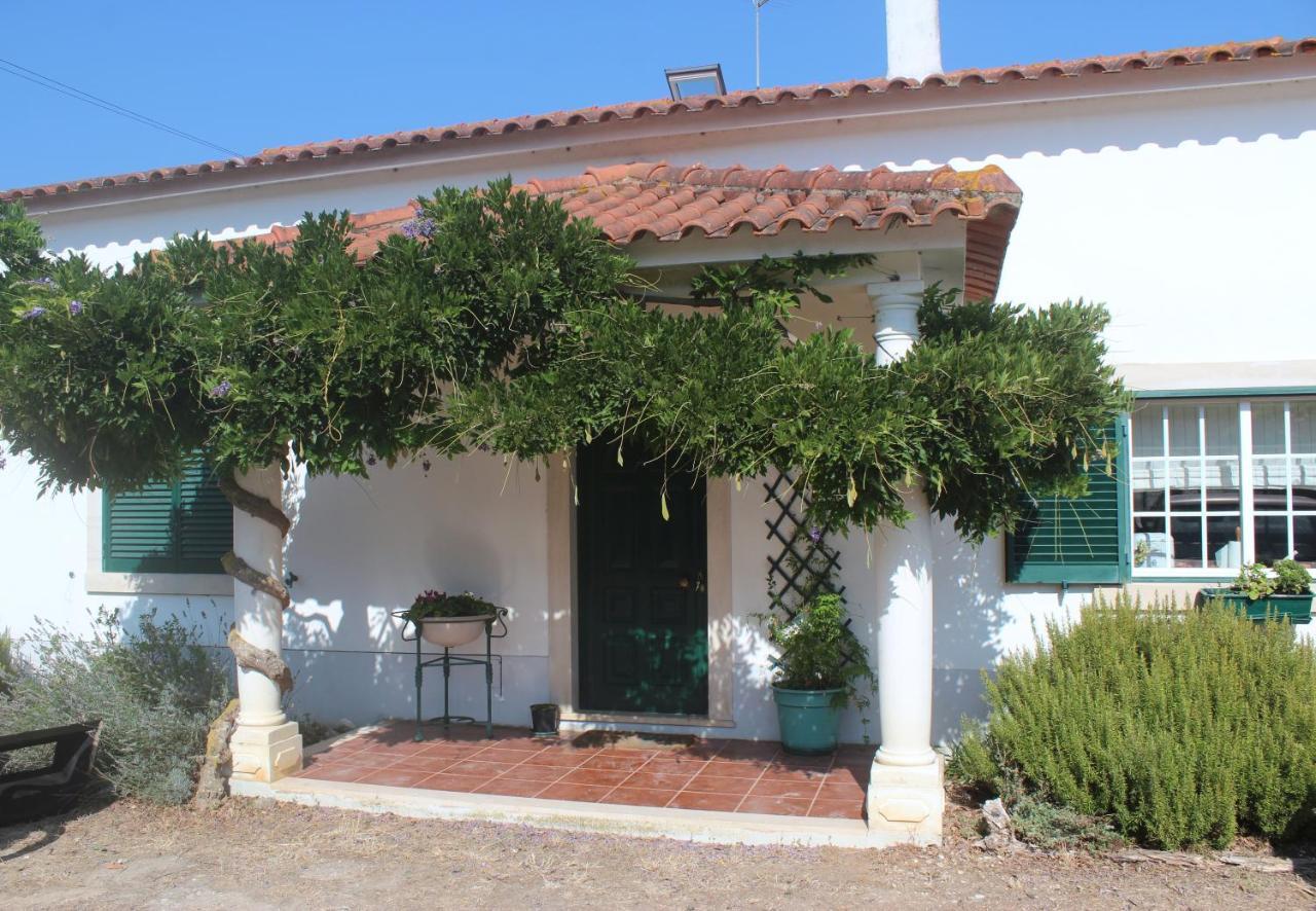 Al- Quinta Dos Carvalhais 里奥马约尔 外观 照片